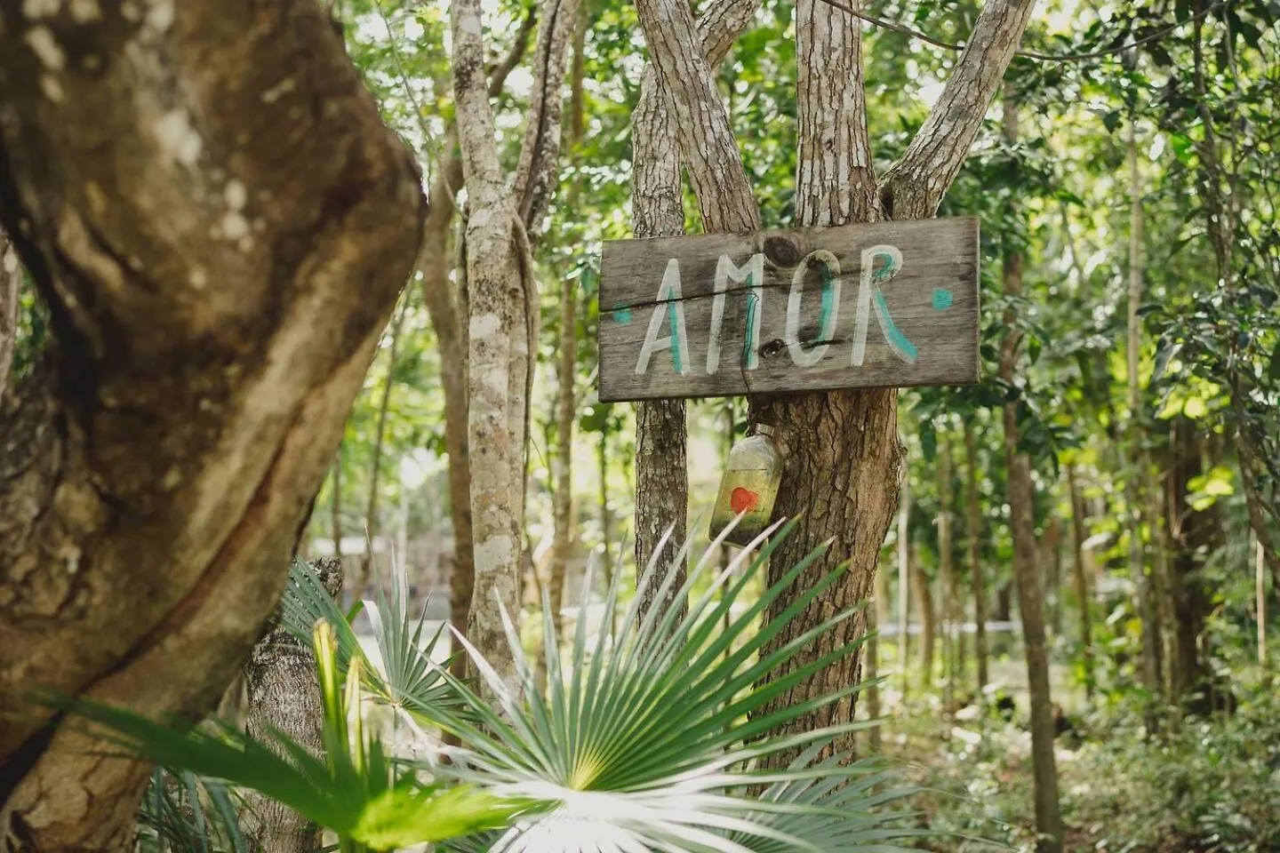Casa Costal - Glamping Experience Hotel Puerto Morelos 0*,  Mexico